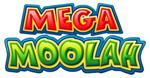MicroGaming Slots
