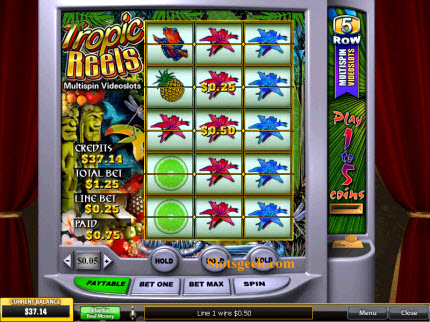 Tropic Reels Slot Machine