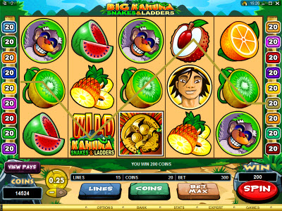 Big Kahuna Slots