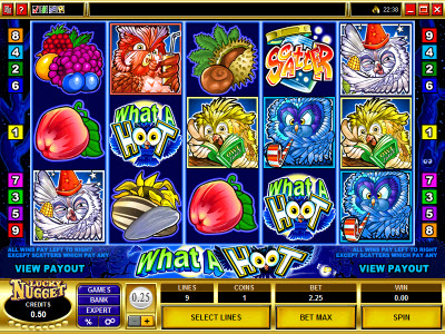What a hoot Slots