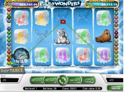 Icy Wonders Slots